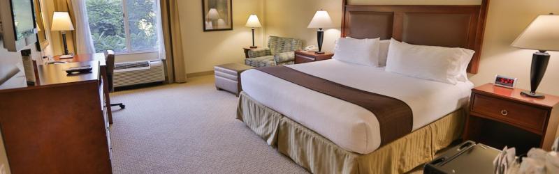 Holiday Inn Express & Suites Asheville Downtown By Ihg Eksteriør bilde
